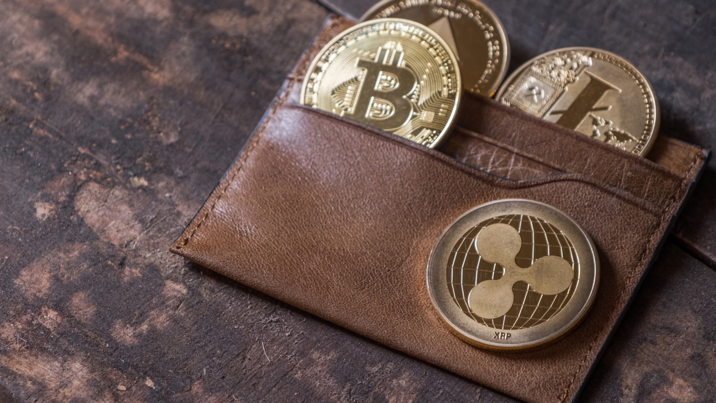 Информация о кошельке bitcoin запорожье обмен валют на сегодня