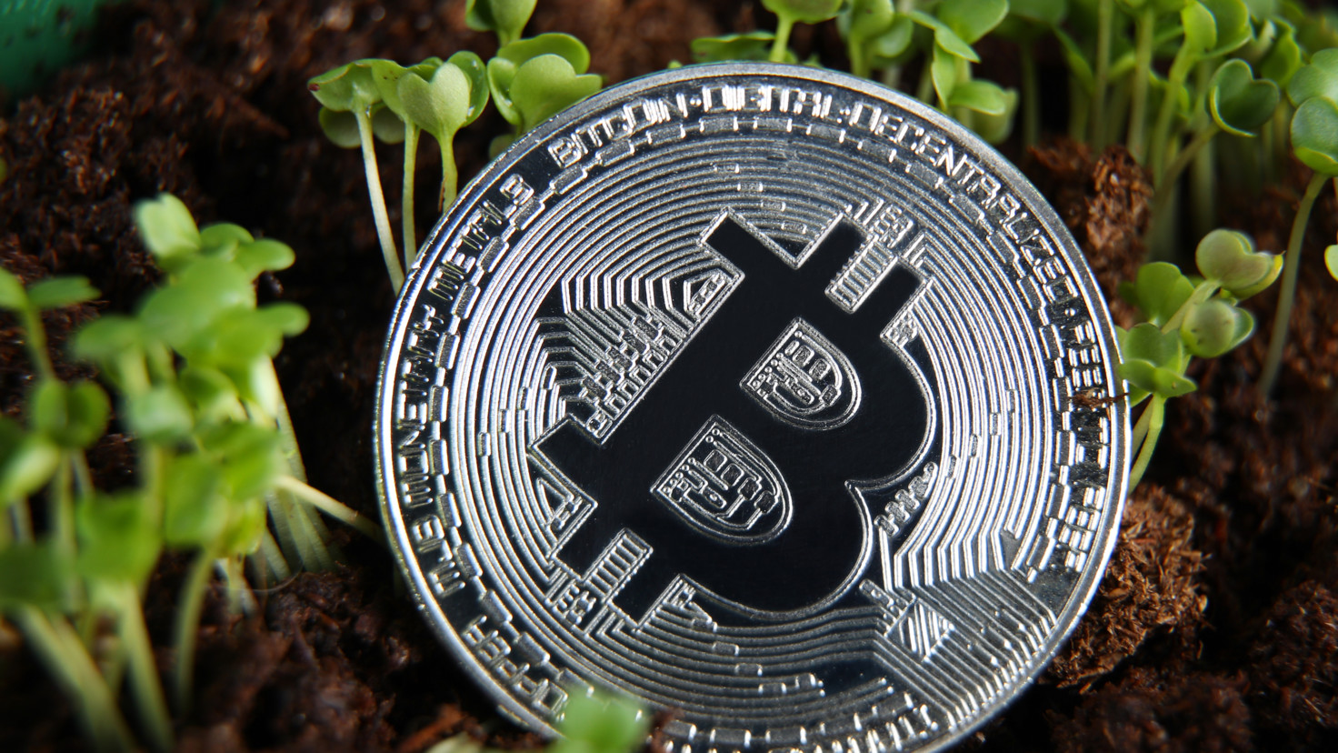 The best cryptocurrency to invest in spring 2020 ...